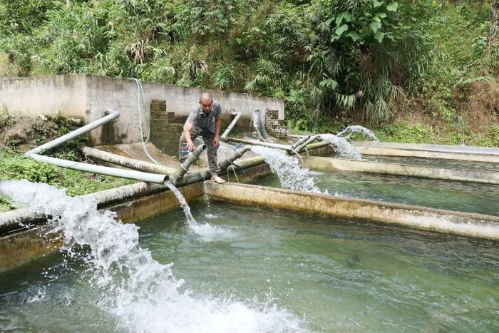 Các mô hình chăn nuôi thủy sản tập trung thu hoạch, tiêu thụ sản phẩm vào những tháng cuối năm. (Ảnh: KHÁNH TOÀN)