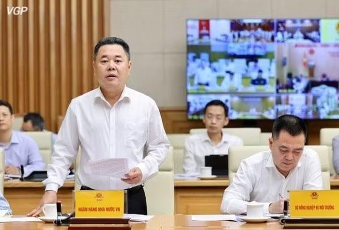 Phó Thống đốc Ngân hàng Nhà nước Việt Nam Nguyễn Ngọc Cảnh báo cáo. (Ảnh: chinhphu.vn/Phương Nguyên)