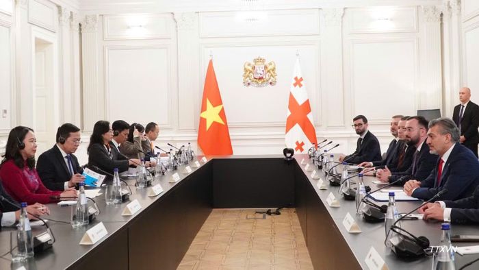 Phó Chủ tịch nước Võ Thị Ánh Xuân hội kiến Tổng thống Georgia Mikheil Kavelashvili, tại thủ đô Tbilisi, ngày 13/10/2026. (Ảnh: TTXVN)
