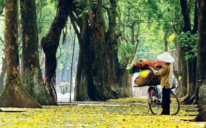 Thời tiết hôm nay (13-10): Các tỉnh Bắc Bộ ngày nắng. Ảnh minh họa: hanoimoi.vn