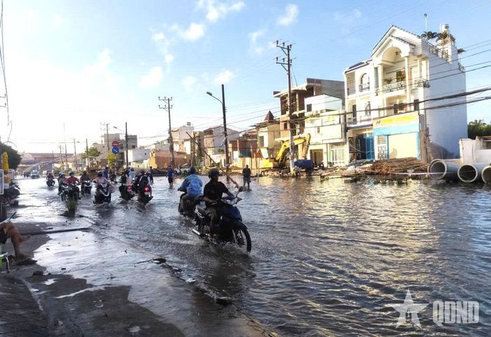 Một góc đường Lê Hồng Phong, phường Bình Thủy, TP Cần Thơ.  