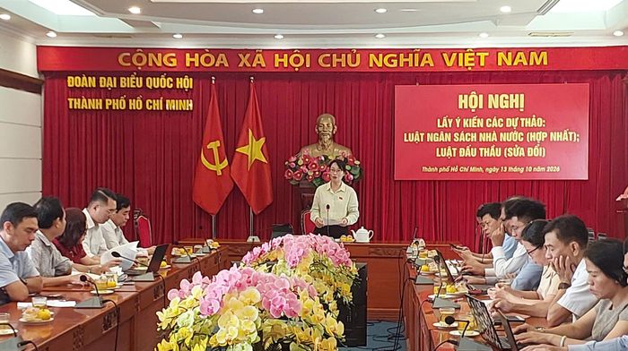 Phó trưởng đoàn chuyên trách Đoàn ĐBQH TPHCM Trần Thị Diệu Thúy chủ trì hội nghị. Ảnh: MAI HOA