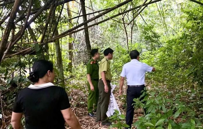 Lực lượng chức năng tổ chức thả trăn gấm về môi trường tự nhiên. Ảnh: Tiên Đồng