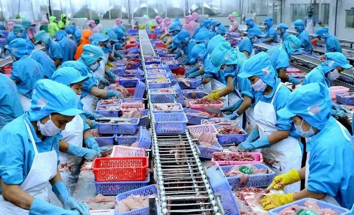 Các doanh nghiệp đề nghị xây dựng thương hiệu, phát triển sản phẩm chủ lực và gia tăng chế biến sâu. Ảnh: VASEP.