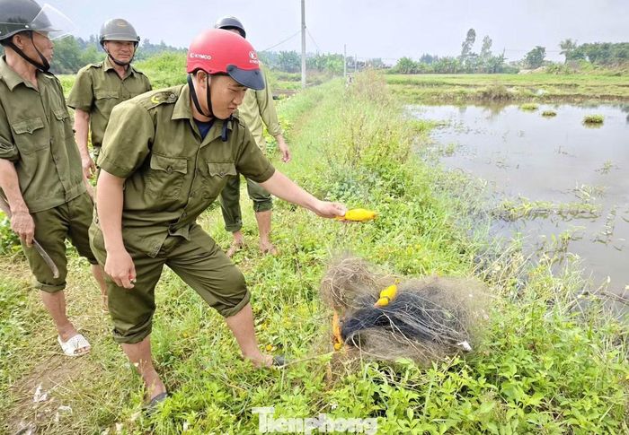 Các lực lượng đã tiến hành tháo dỡ, tiêu hủy 3.500m lưới, 250 cọc tre, 4 loa phát thanh, 350 cò xốp, 800 cò nhựa và 10 cá thể cò được sử dụng làm chim mồi.