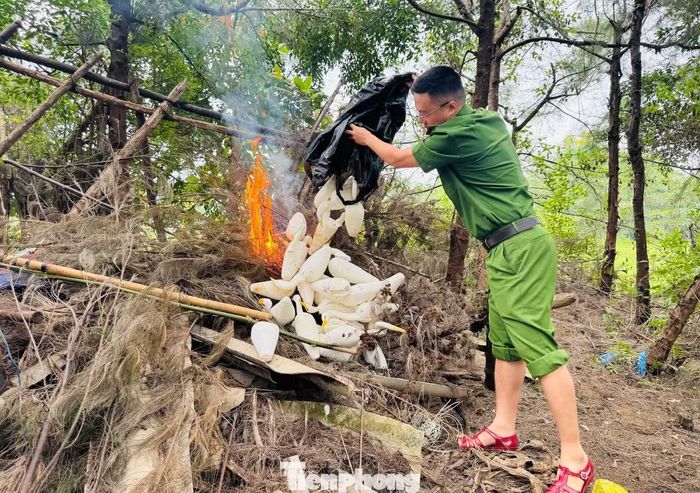  Để ngăn chặn tình trạng này, bên cạnh việc duy trì tuần tra, tháo dỡ bẫy và xử lý các trường hợp vi phạm, các địa phương cần tiếp tục nâng cao nhận thức cộng đồng, kiên quyết không để việc săn bắt, mua bán và tiêu thụ chim hoang dã trái phép tiếp diễn. Mỗi người dân cùng nói không với bẫy bắt tận diệt, chủ động bảo vệ các loài chim chính là góp phần gìn giữ đa dạng sinh học và môi trường sống cho các thế hệ mai sau. 