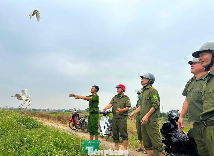  Không chỉ thu giữ phương tiện săn bắt, lực lượng chức năng còn giải cứu, thả 50 cá thể chim hoang dã còn khỏe mạnh trở lại môi trường tự nhiên. 