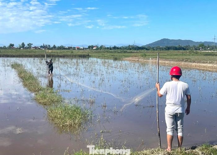  Tại xã Đông Thành, các lực lượng tổ chức tuần trên các khu vực đồng ruộng thuộc xóm Thiện Cảnh, Thanh Đạt và Đông Lai. 