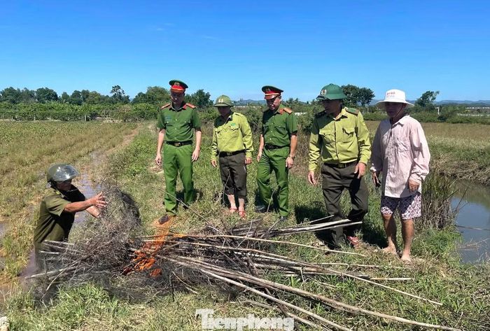  Tại đây, các đơn vị phát hiện, thu giữ và tiêu hủy 4.850m lưới cùng 395 cọc tre dùng để giăng bẫy. Khi lực lượng chức năng đến phát hiện 13 cá thể chim cà cà đã chết. Số lượng lưới và cọc tre lớn được sử dụng để giăng bẫy cho thấy nguy cơ chim hoang dã bị bắt hàng loạt nếu không được phát hiện, ngăn chặn kịp thời. 