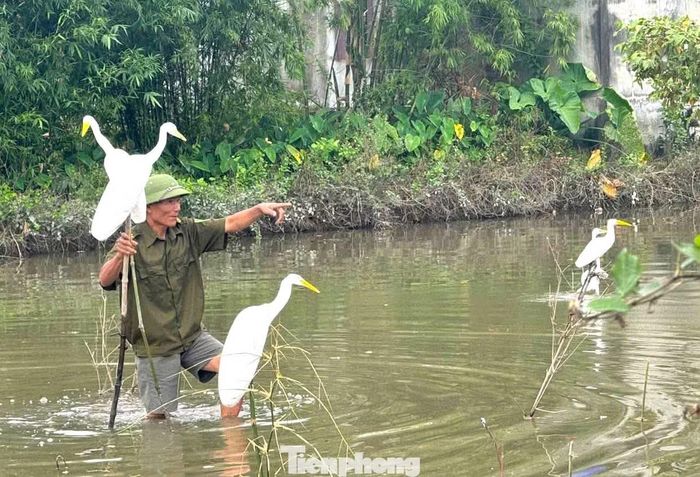  Thực tế tại các địa phương cho thấy, việc sử dụng lưới và các loại dụng cụ chuyên dụng để săn bắt chim có thể khiến nhiều cá thể bị mắc bẫy cùng lúc, làm suy giảm số lượng chim trong tự nhiên. Khi các loài chim bị tận diệt, môi trường sống và sự cân bằng của hệ sinh thái cũng chịu những tác động khó khắc phục. 