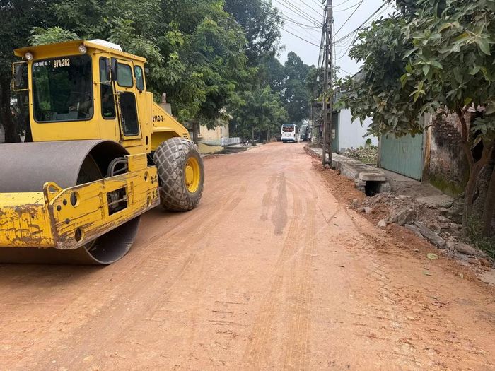 Toàn tuyến nâng cấp đê dài khoảng 17 km đang được đẩy nhanh tiến độ thi công.
