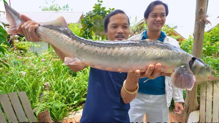 Kênh Già làng Tây Nguyên hút view nhờ nội dung đi rừng, săn bắt.