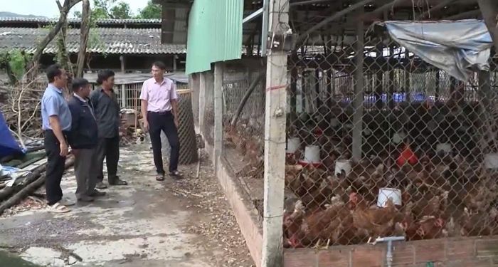 Lãnh đạo và cán bộ tín dụng NHCSXH Tuy Phước luôn bám sát cơ sở , tận tình hướng dẫn Nhân dân sử dụng vốn vay hiệu quả