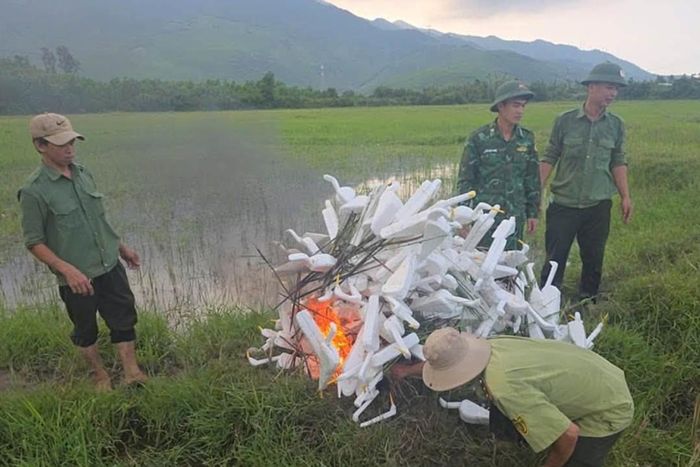 Lực lượng chức năng TP Huế tiêu huỷ phương tiện, dụng cụ săn bắt chim trời.