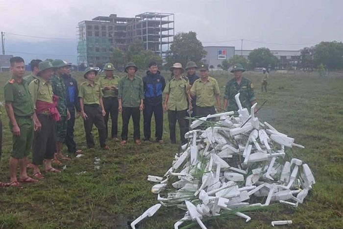 Từ đầu năm đến nay, cơ quan chức năng đã thả 221 cá thể chim về môi trường tự nhiên.
