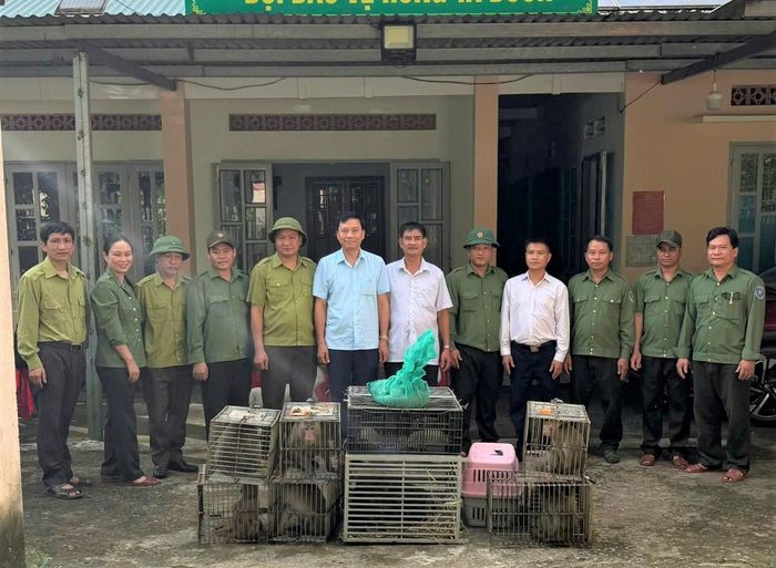 Trung tâm Bảo tồn đa dạng sinh học và Du lịch sinh thái, Vườn quốc gia Chư Mom Ray tiếp nhận nhiều động vậy hoang dã.