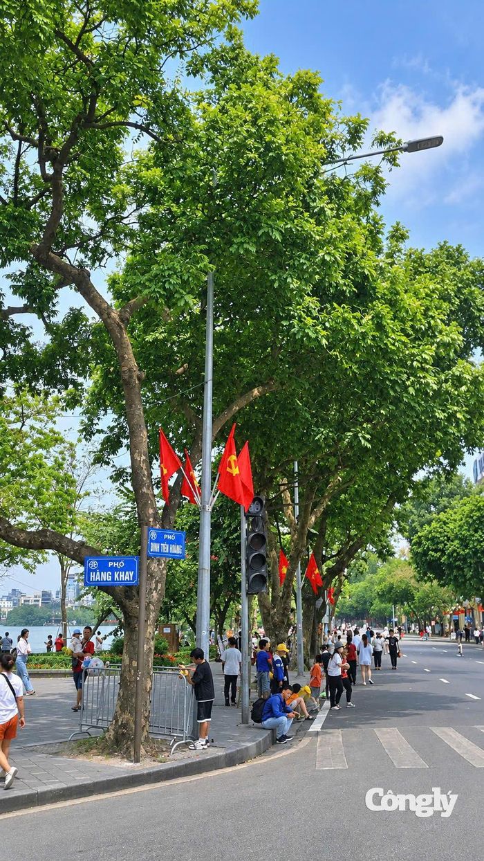 Hàng cây lâu năm tại ngã tư phố Hàng Khay - Đinh Tiên Hoàng.