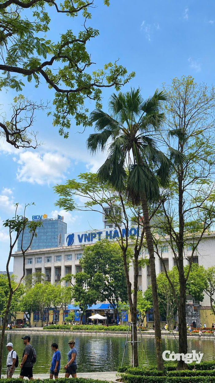 Không gian xanh mát bên bờ Hồ Gươm.