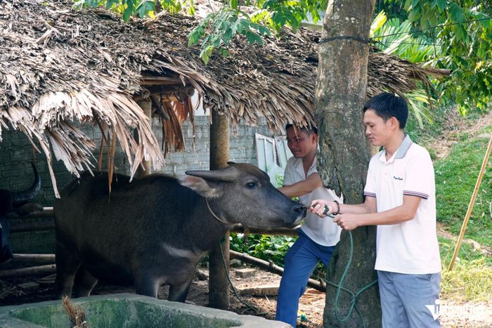 Công việc của anh Văn thường kéo từ sáng đến tối mịt mới về nhà. Ảnh: Lê Dương