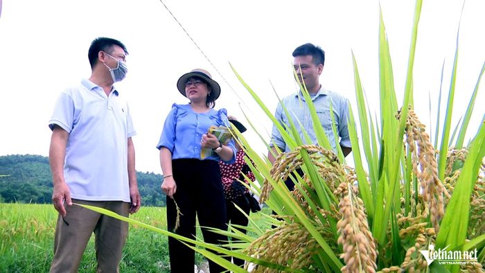 Các công việc của cán bộ trung tâm cung ứng dịch vụ công là những việc trực tiếp xuống với nhân dân. Ảnh: Lê Dương