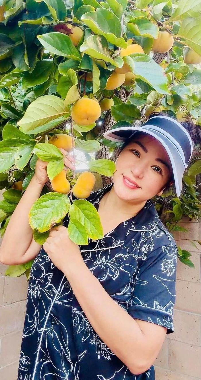 Diễn viên Thuý Nga thu hoạch trái cây.