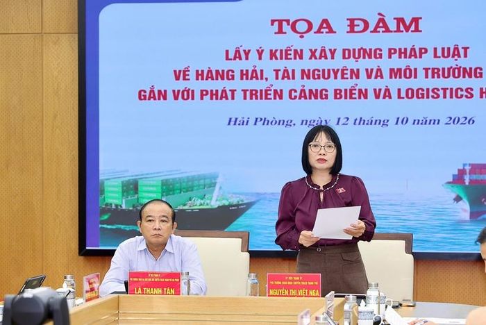 Đồng chí Nguyễn Thị Việt Nga, Phó Trưởng đoàn chuyên trách Đoàn đại biểu Quốc hội TP Hải Phòng phát biểu kết luận.