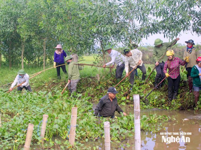 Các địa phương ra quân làm thuỷ lợi nội đồng. Ảnh: Quang An