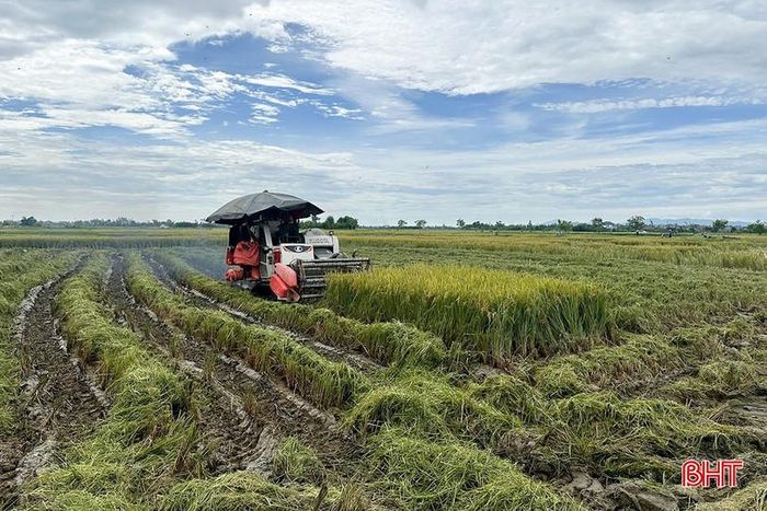 Việc chuyển đổi ruộng đất nhằm hình thành những cánh đồng lớn, thuận lợi cho việc đưa máy móc vào sản xuất.