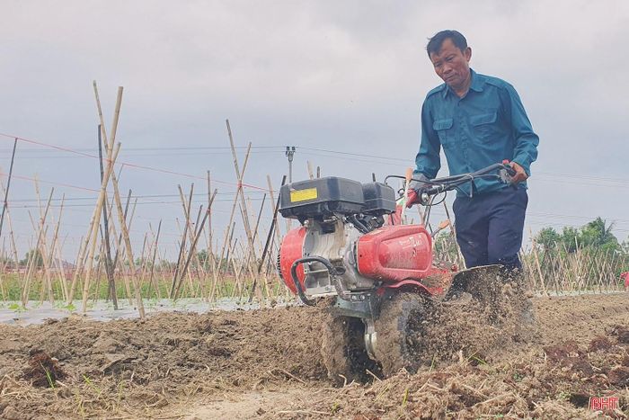 Tại thôn Liên Hợp, xã Đông Kinh, tranh thủ thời tiết thuận lợi, gia đình ông Phan Văn Kiên cùng các hộ trồng rau đang tập trung làm đất, gieo trồng và chăm sóc cây rau màu.