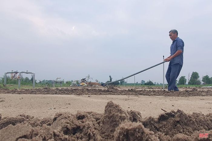Trên những thửa ruộng đã được làm đất kỹ lưỡng, nông dân lựa chọn các loại rau phù hợp với nhu cầu tiêu dùng dịp cuối năm và Tết Nguyên đán.