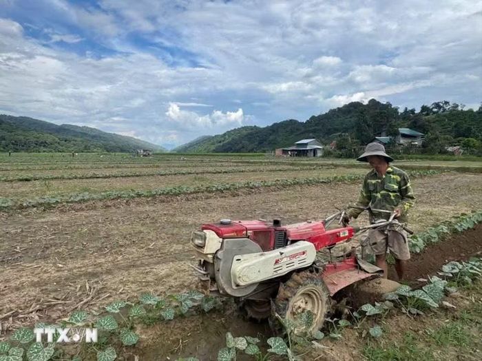 Ông Hoàng Văn Đà (thôn 3, xã Nam Ka, tỉnh Đắk Lắk) mỗi năm đều mất vài sào đất vì bị sụp xuống lòng sông. Hiện tại đất của ông không còn nhiều. (Ảnh: kha Phạm/TTXVN)