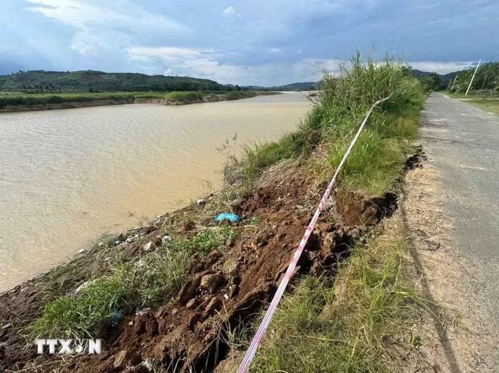 Tình trạng sạt lở bờ sông Krông Nô đang rất nghiêm trọng, nhiều đoạn đã sạt vào tới mặt đường nhựa, Ủy ban Nhân dân xã Nam Ka đã rào chắn và gắn biển cảnh báo, cấm xe 4 bánh đi qua những đoạn đường nguy hiểm men theo bờ sông. (Ảnh: Kha Phạm/TTXVN)