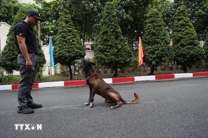 Giờ huấn luyện chó nghiệp vụ của Phòng Cảnh vệ miền Nam. (Ảnh: Hồng Đạt/TTXVN)