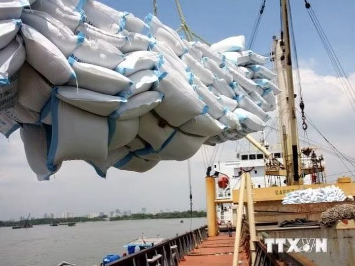 Xuất khẩu nhiều mặt hàng tăng mạnh. (Ảnh: TTXVN)