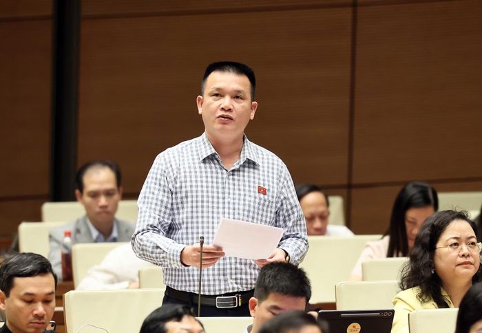Đại biểu Quốc hội tỉnh Tuyên Quang Hoàng Ngọc Định phát biểu thảo luận về một số cơ chế, chính sách đột phá phát triển văn hoá Việt Nam. Ảnh: An Đăng/TTXVN