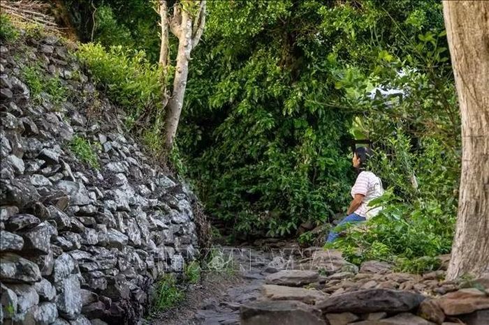 Con đường đá nằm giữa những mảng xanh trên triền đồi, tạo nên không gian tham quan yên tĩnh và nét riêng cho Đồi Cổ Thạch.
