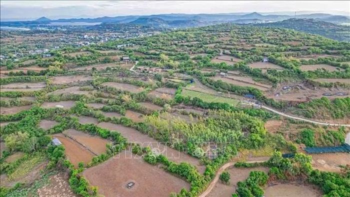 Không gian yên bình, tầm nhìn hướng biển và lối đá mang đến cho Đồi Cổ Thạch sức hút riêng đối với những người yêu thích khám phá, nhiếp ảnh.