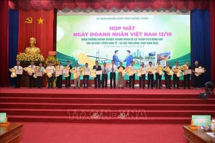 Ông Nguyễn Thành Diệu, Phó Chủ tịch UBND tỉnh Đồng Tháp, trao tặng bằng khen cho 36 cá nhân là doanh nhân tiêu biểu. Ảnh: Hồng Nhung/TTXVN