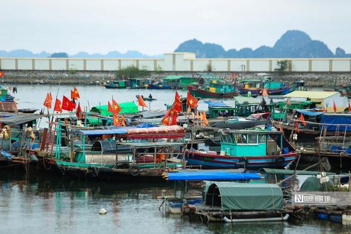 Kể từ sau đợt thanh tra lần thứ năm, Việt Nam đã hoàn thiện 31/38 khuyến nghị của EC (Ảnh: Hữu Thắng).