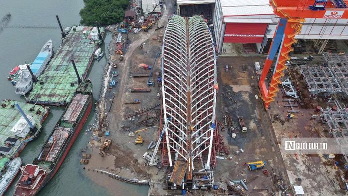 Nhịp chính của cầu đi bộ bắc qua sông Sài Gòn được thiết kế uốn lượn mang hình dáng chiếc lá dừa nước thanh thoát.