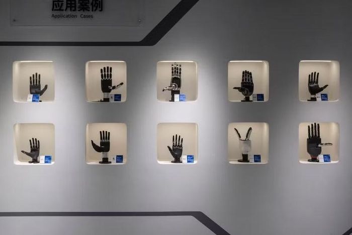 Các mẫu bàn tay robot cảm biến xúc giác được trưng bày tại showroom của công ty Tashan Bắc Kinh. Ảnh: WP.
