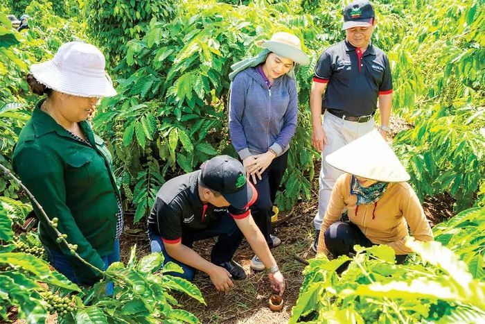  Cán bộ kỹ thuật NESCAFÉ Plan hướng dẫn nông dân thực hành cải tạo đất. 