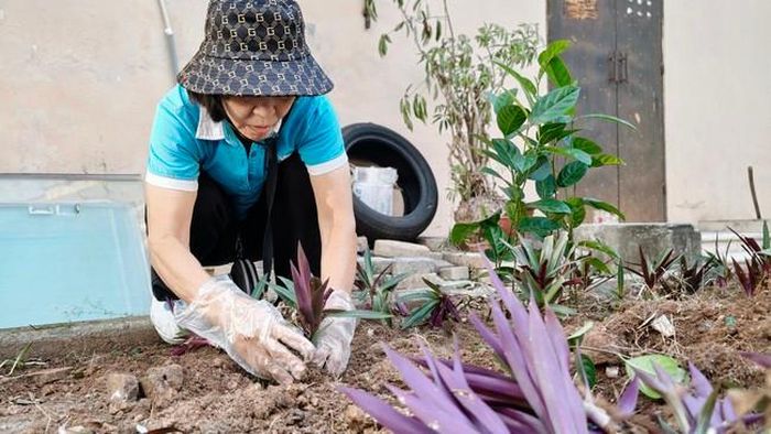 Sau khi dọn dẹp sạch, hội viên phụ nữ đã trồng hoa trang trí