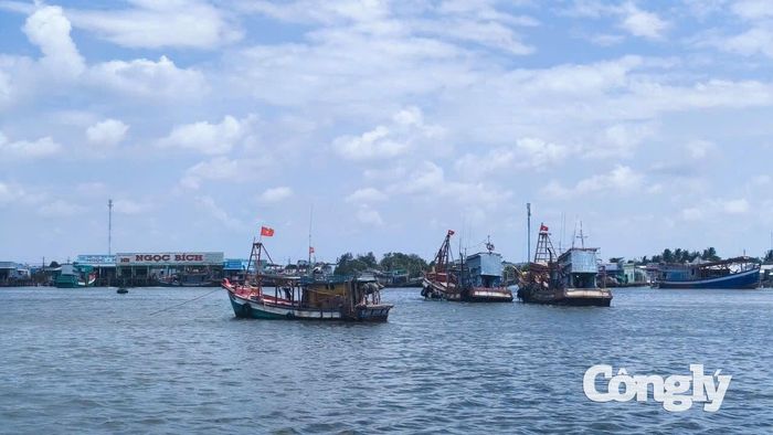 Cà Mau là địa phương có đội tàu khai thác lớn, với hơn 5.100 tàu cá đăng ký