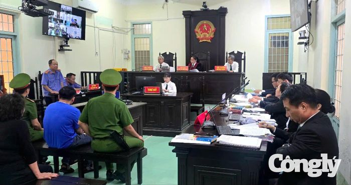 Kiển soát viên tranh tụng tại phiên tòa