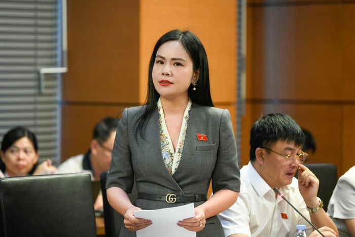 Đại biểu quốc hội Nguyễn Thị Thanh Bình. Ảnh: NVCC