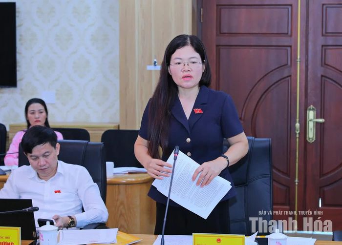 Phó Trưởng Đoàn ĐBQH tỉnh Lương Thị Hoa phát biểu tại buổi làm việc.
