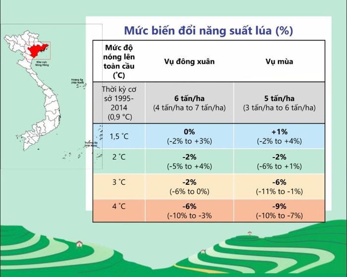 Tác động của biến đổi khí hậu đến năng suất lúa đồng bằng sông Hồng (Nguồn: kịch bản biến đổi khí hậu cho Việt Nam phiên bản 2025)