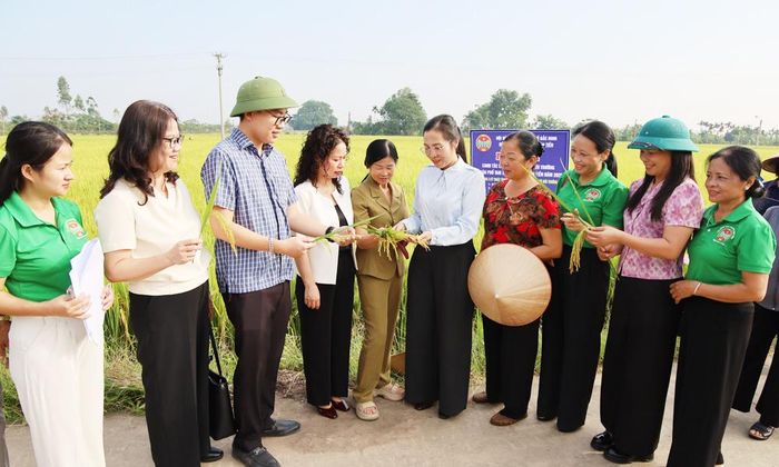 Đại biểu thảo luận về các yếu tố cấu thành năng suất lúa TĐ25, gieo cấy tại phường Tân Tiến theo phương pháp thân thiện với môi trường.