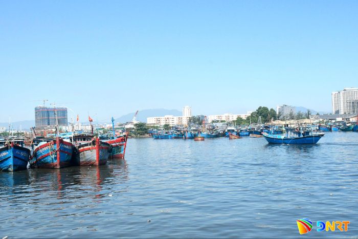 Âu thuyền Thọ Quang đang được Ban Quản lý âu thuyền và cảng cá Thọ Quang đầu tư nâng cấp. Ảnh: QUANG VIỆT